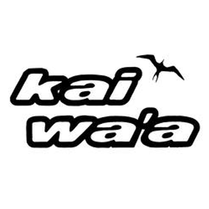 2023 Va’a Japan Racing Seriess｜kai wa'a